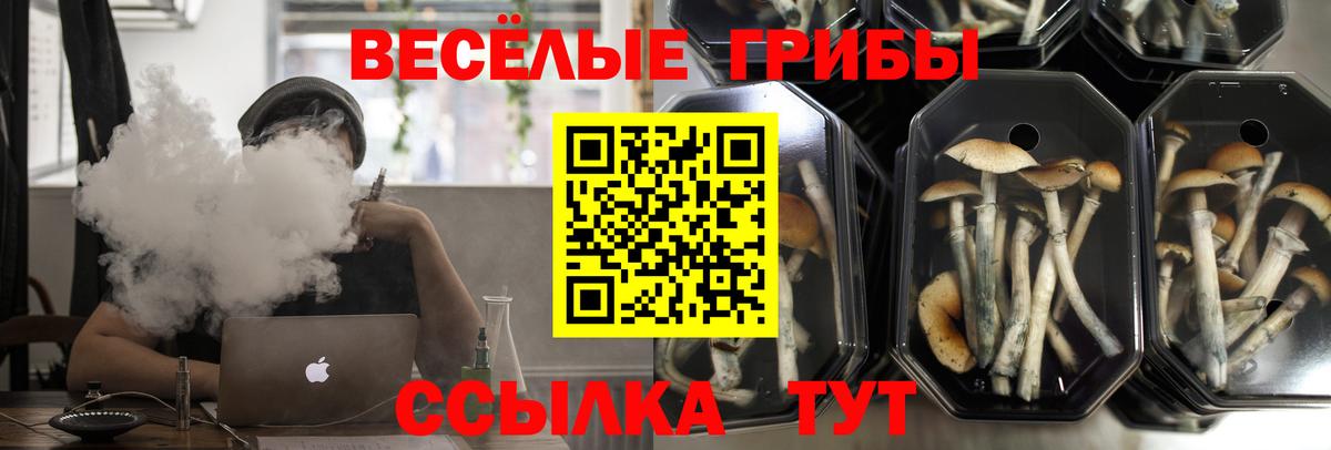Балахна  Псилоцибиновые грибы GOLDEN TEACHER  Вход с VPN 